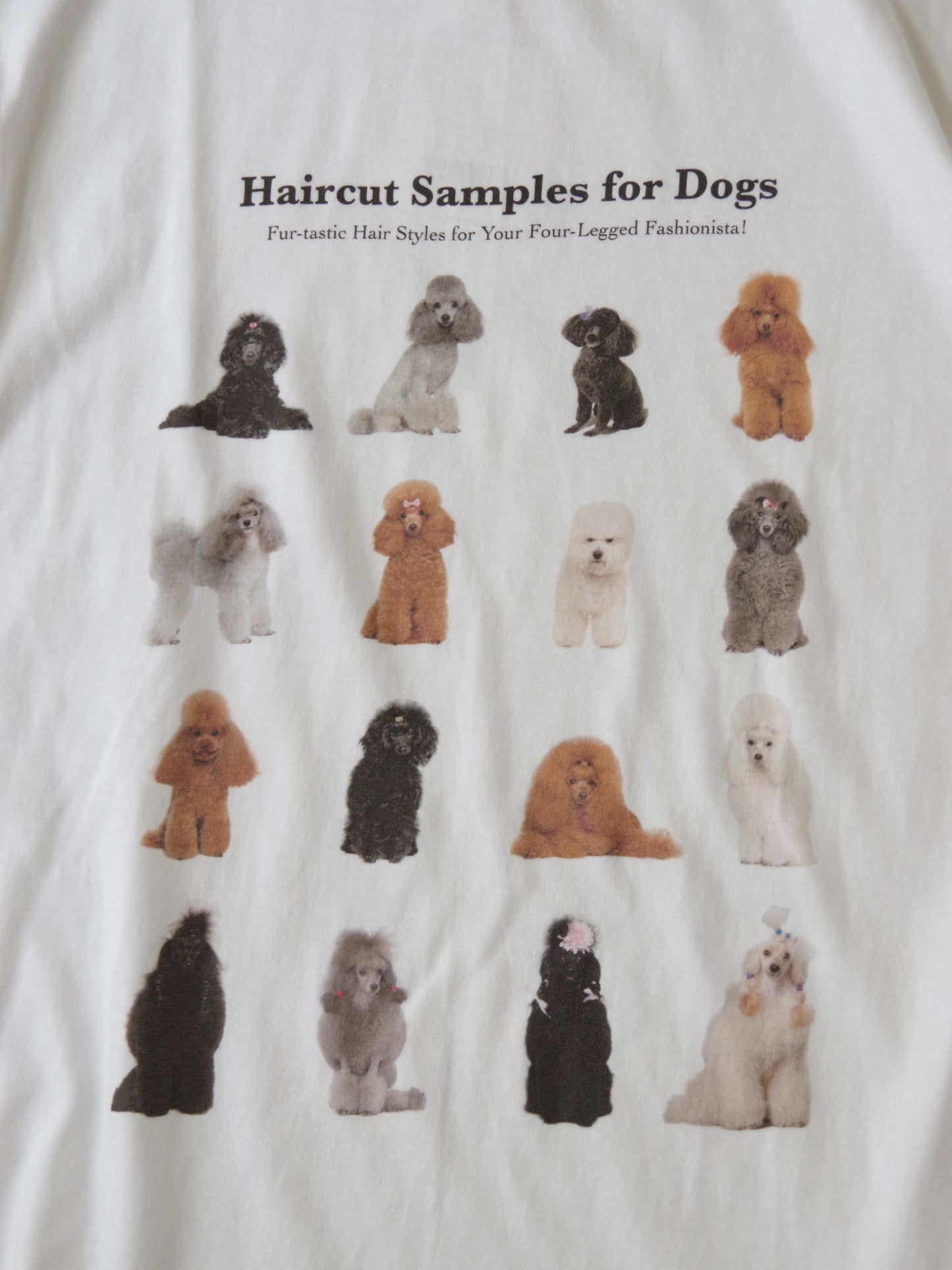Hairstyle Tshirt ( 2color)  | figlondon