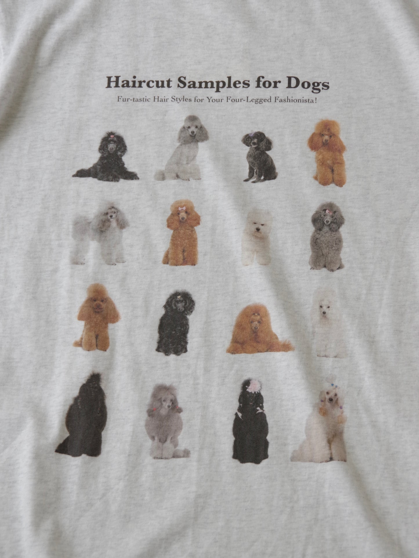 Hairstyle Tshirt ( 2color)  | figlondon