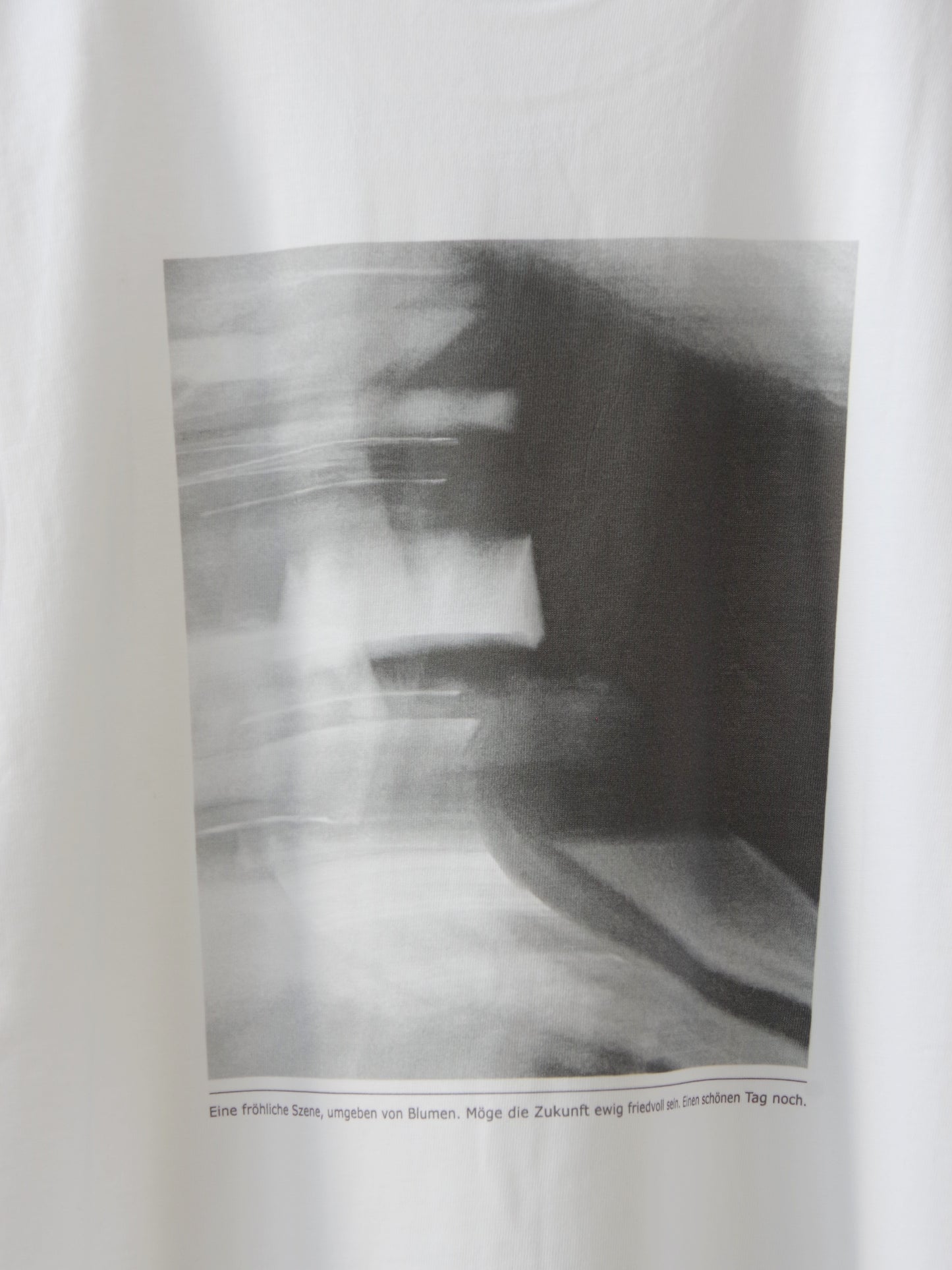 ファインジャージー天竺 ウェーブロゴ Tシャツ | iki