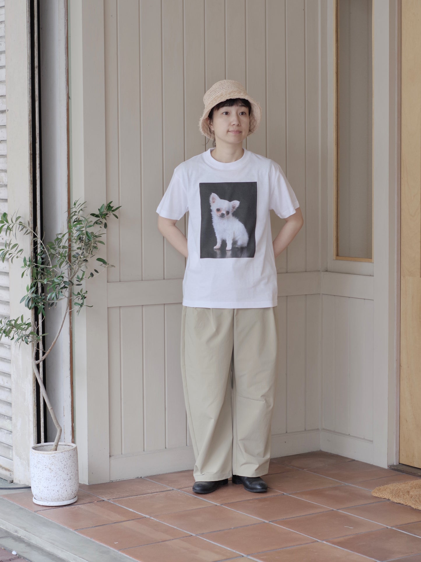 半袖TEE CHIHUAHUA | MAY FOOL