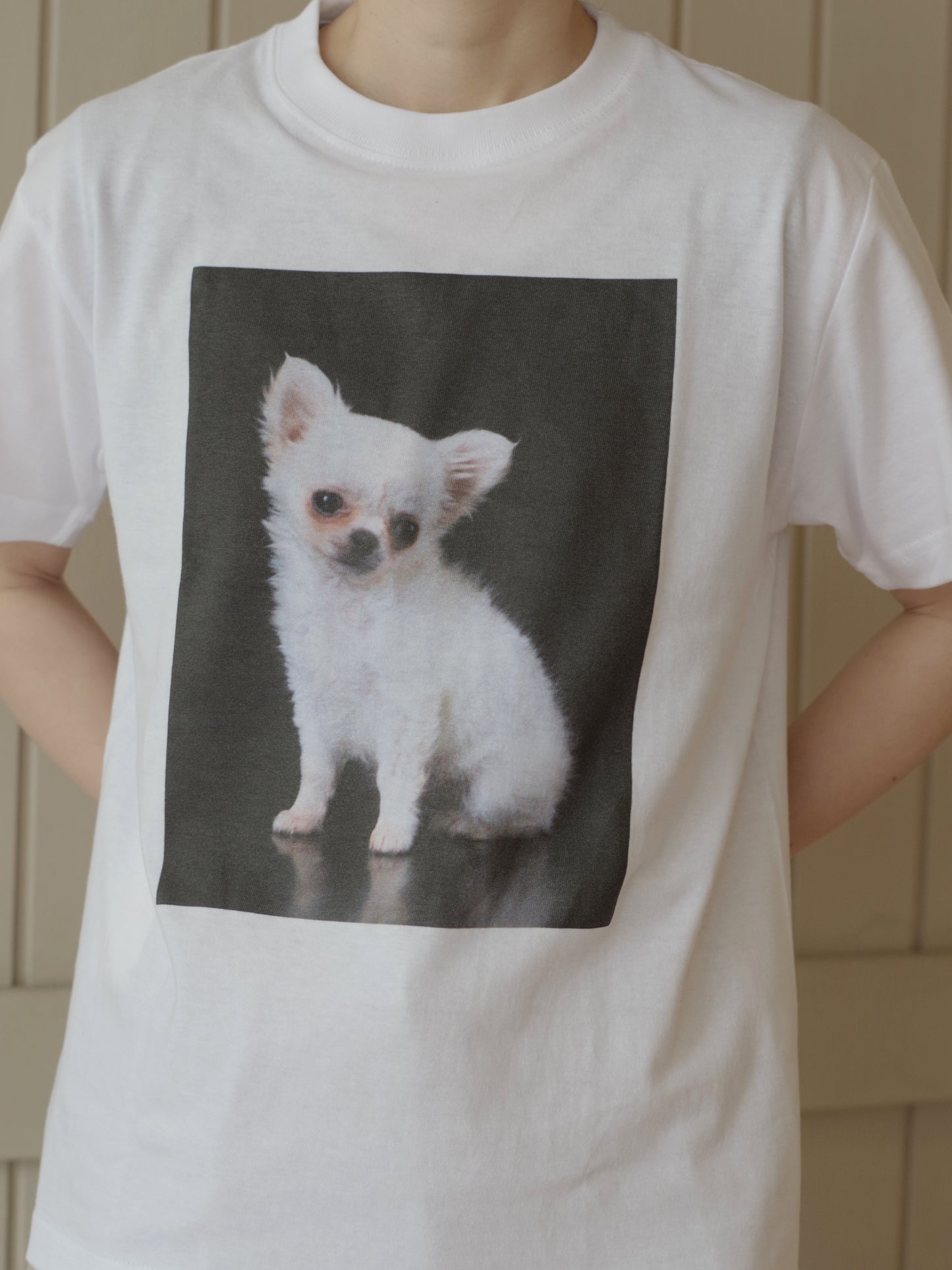 半袖TEE CHIHUAHUA | MAY FOOL