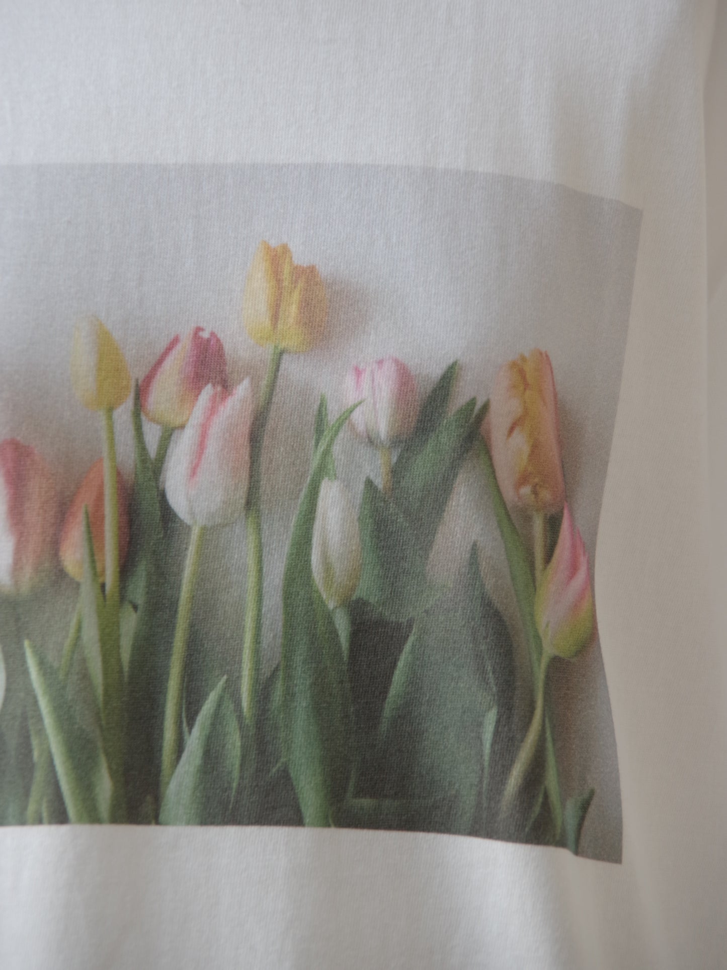 ちょっぴり大人っぽいチューリップ柄 Tシャツ | potandtea