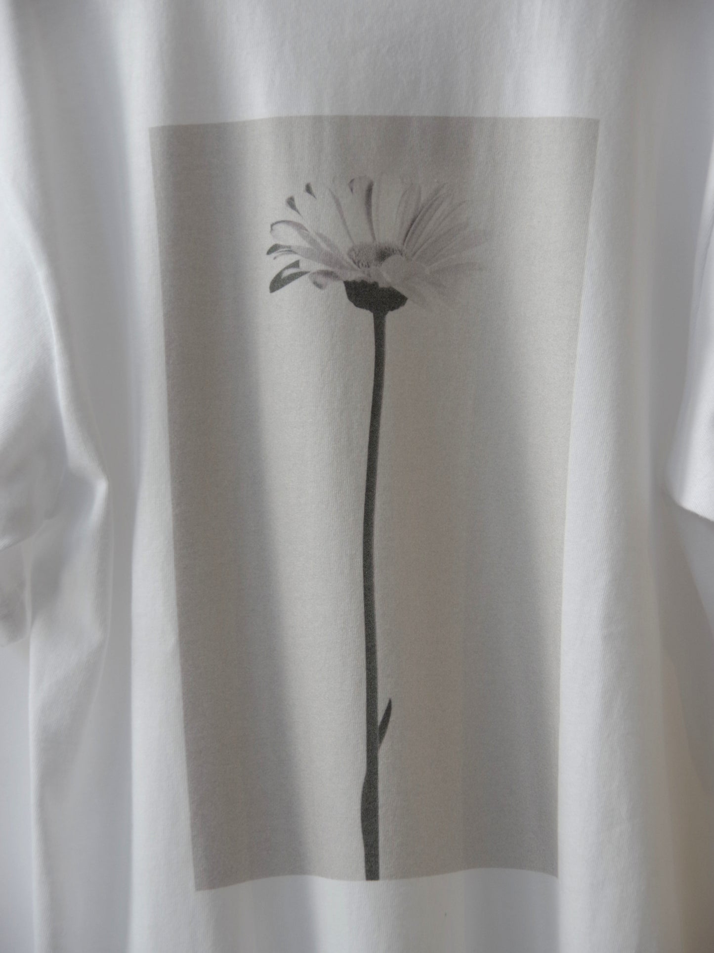 半袖TEE  GERBERA  | MAYFOOL