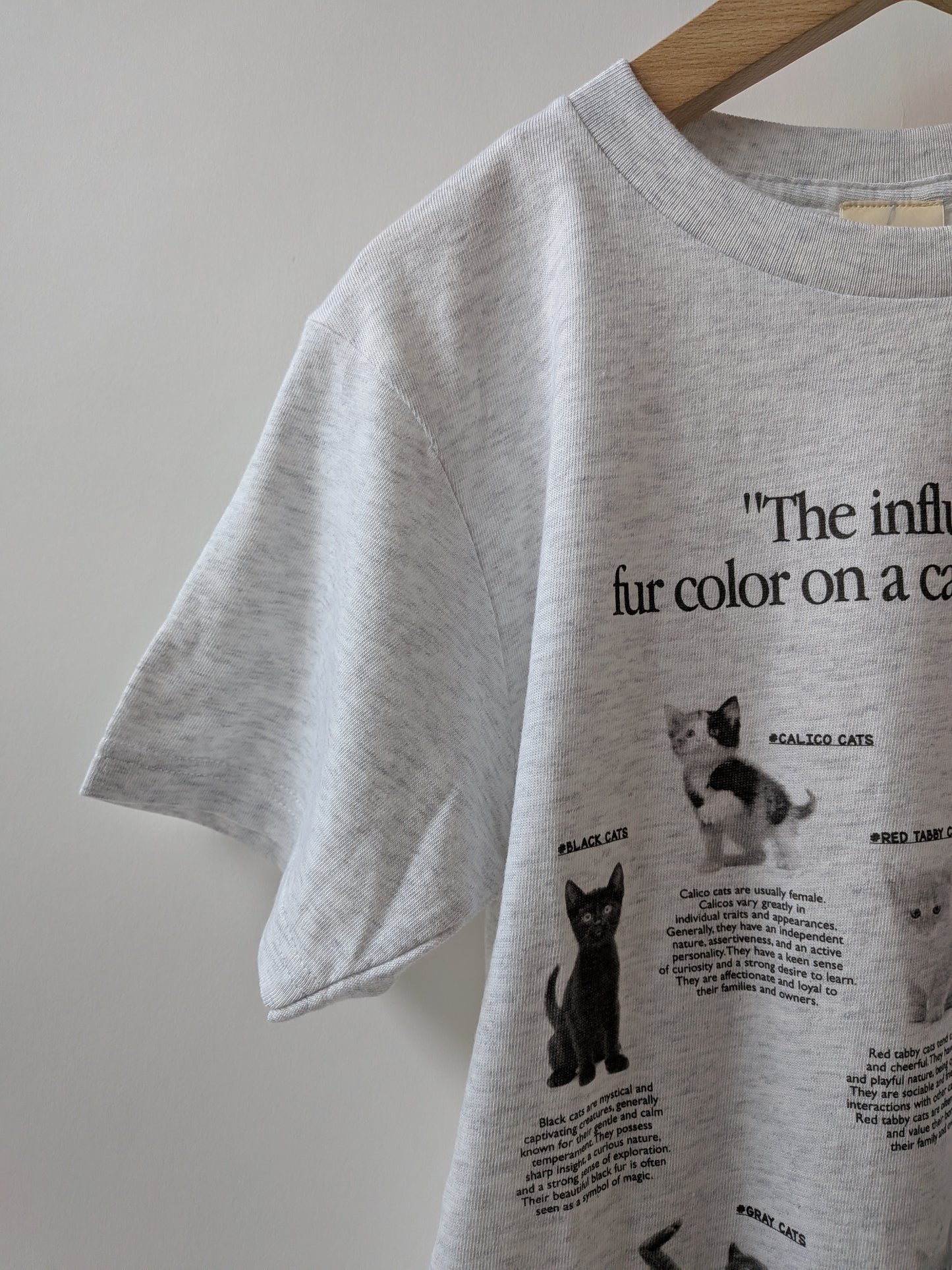 cat studies kids Tshirt | fig London