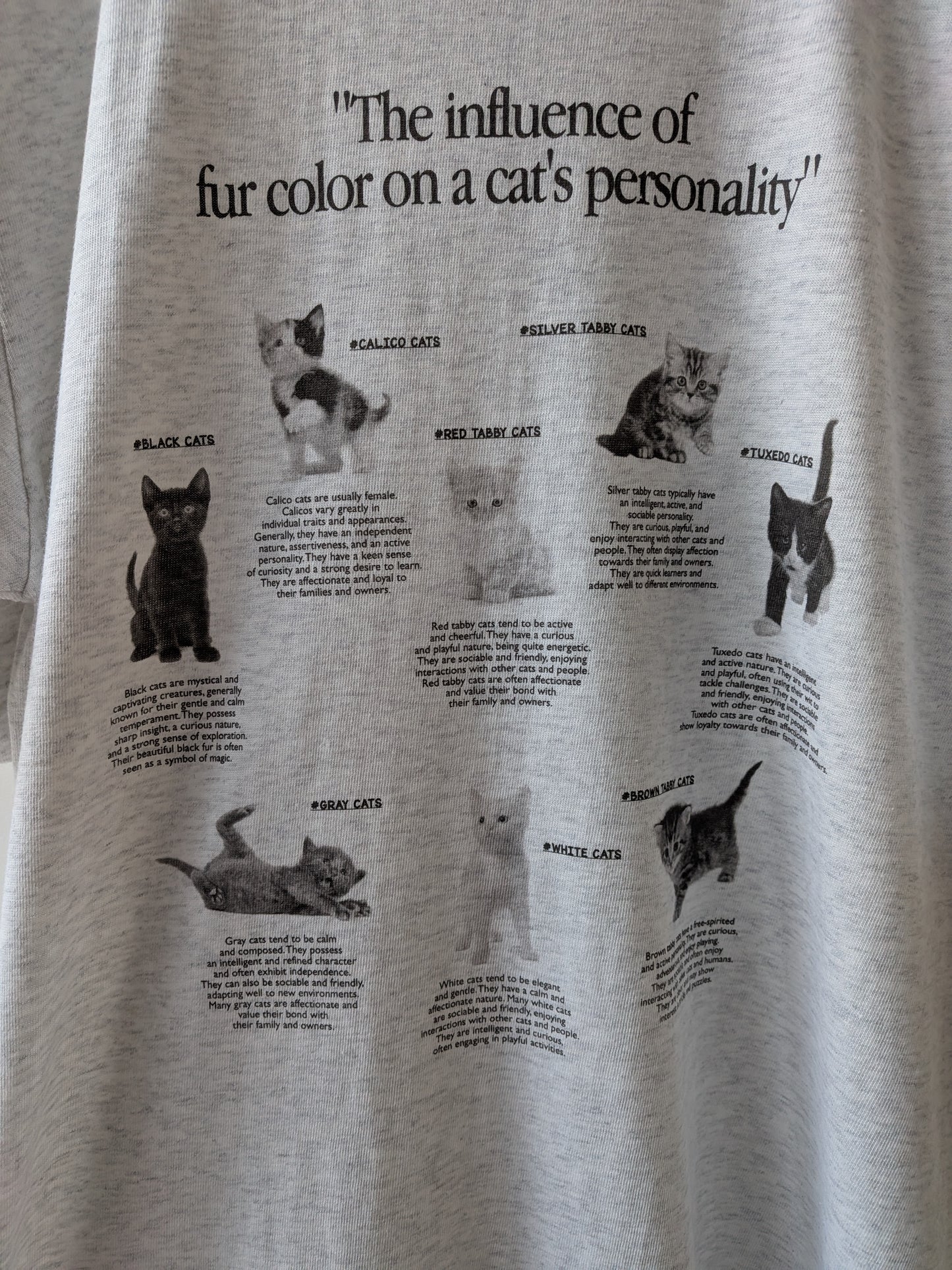 cat studies Tshirt | fig London