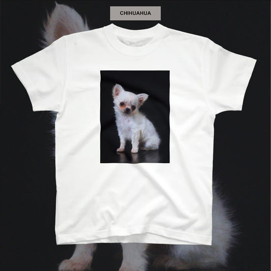 半袖TEE CHIHUAHUA | MAY FOOL
